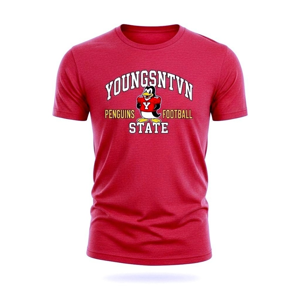 Homefield Youngstown State Penguins Football Men Large Red Vintage Style Tee